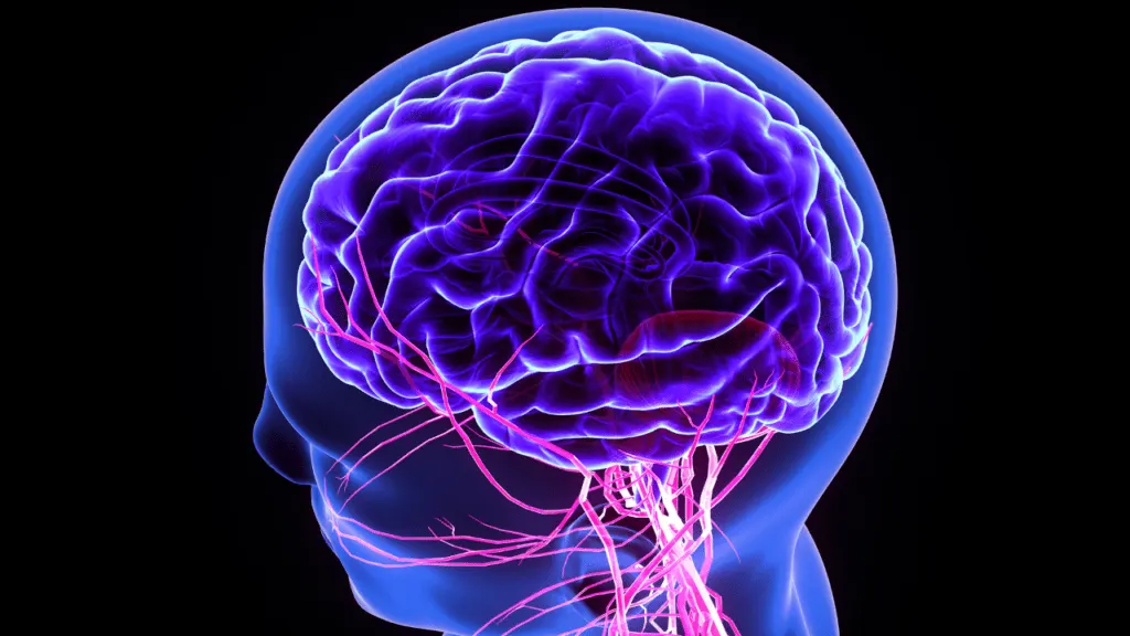 emotional triggers, fight or flight responses, Darwin expression of emotions